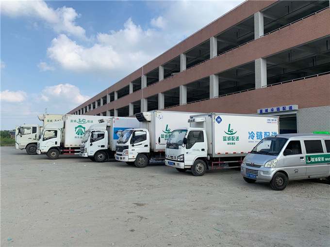 如何选择新鲜平台？购买菜品从未如此便捷！